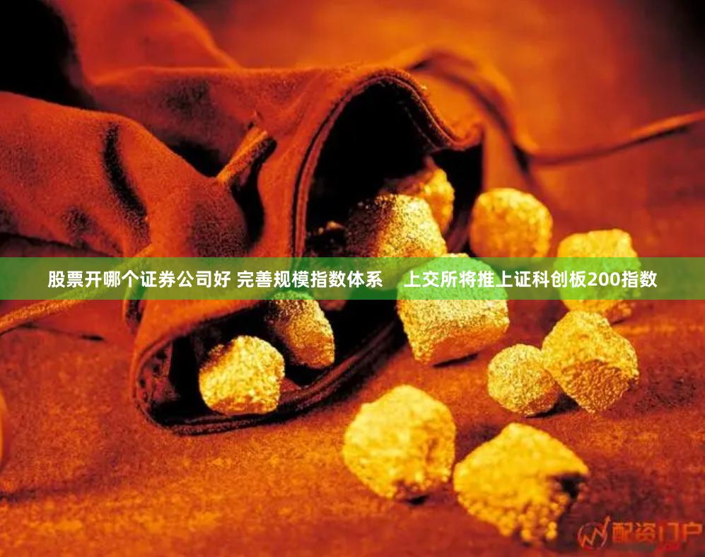 股票开哪个证券公司好 完善规模指数体系    上交所将推上证科创板200指数