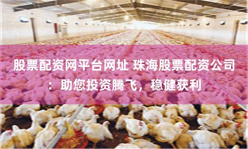股票配资网平台网址 珠海股票配资公司：助您投资腾飞，稳健获利