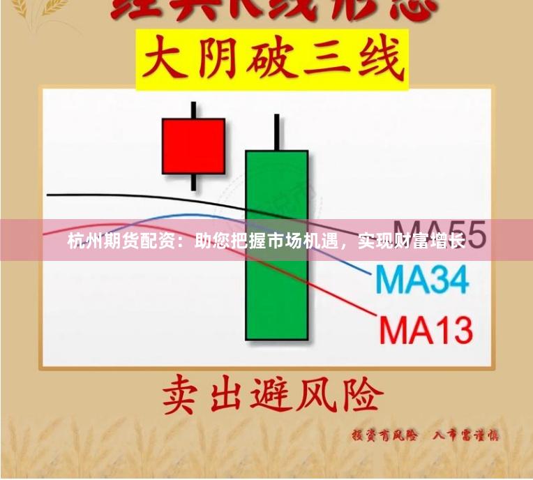 杭州期货配资：助您把握市场机遇，实现财富增长