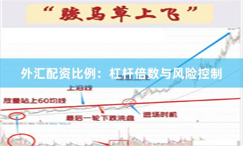 外汇配资比例：杠杆倍数与风险控制